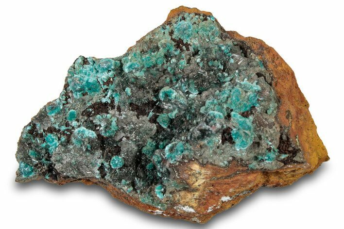 Fibrous Blue Aurichalcite Crystals on Hemimorphite - Mexico #300484